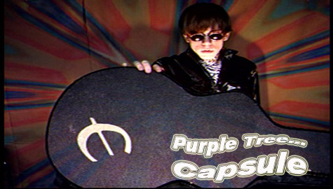 Purple Tree - Capsule Video Debut